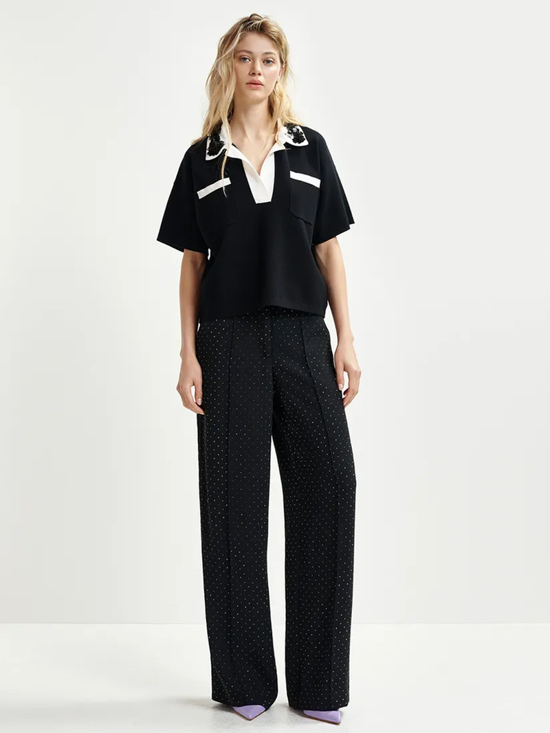 Hoiseau Embroidered Polo in Black