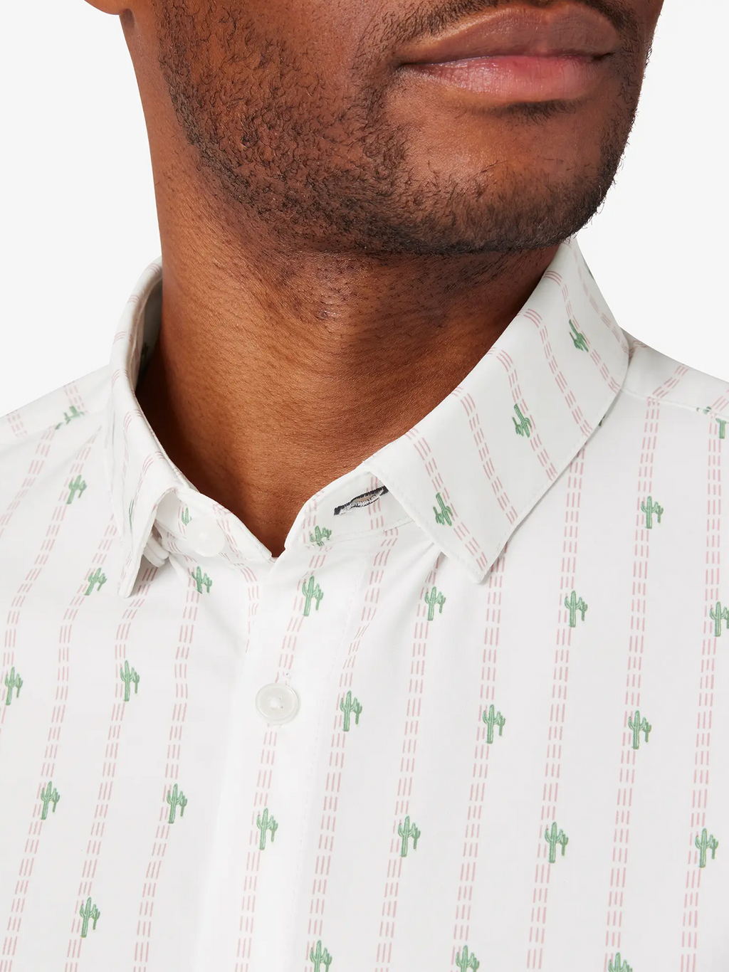 Leeward Short Sleeve Shirt in Rose Cactus Stripe
