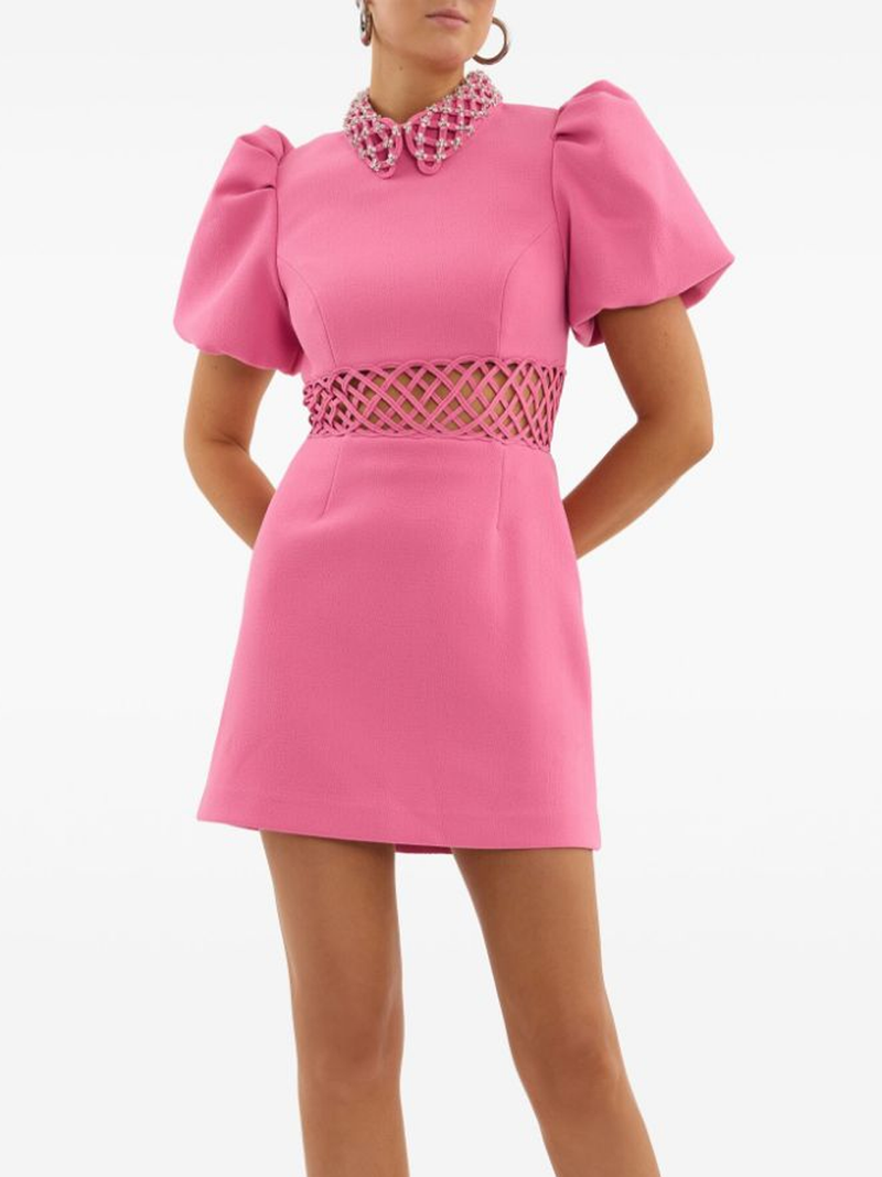 Aubree Collar Mini Dress